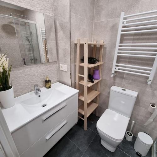 ein Badezimmer mit einem weißen WC und einem Waschbecken in der Unterkunft Soho Boutique Tioda, Totalmente reformado junto a las estaciones, WIFI in Oviedo