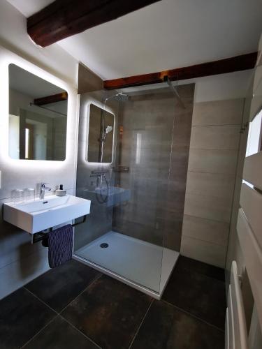 a bathroom with a sink and a shower at Haselnuss in Ilsenburg