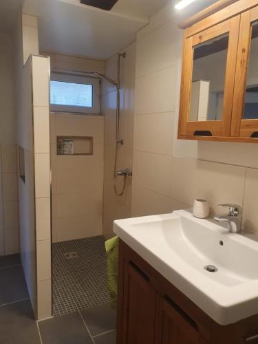 a bathroom with a sink and a shower at Fachwerk zum Entspannen, max. 3P in Bad Emstal