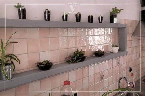 a shelf with potted plants on a wall at Vallessa Vip in Vinkuran