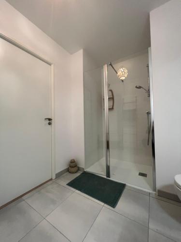 a bathroom with a shower and a toilet and a sink at Appartement bayonne ellaia in Bayonne