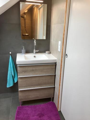 La salle de bains est pourvue d'un lavabo, d'un miroir et d'un tapis violet. dans l'établissement Appartement vue mer avec piscine intérieure, à Larmor-Plage