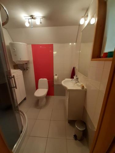 ein Badezimmer mit einem weißen WC und einem Waschbecken in der Unterkunft Domek letniskowy nad stawem Temeszów Bieszczady 