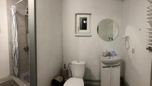 a bathroom with a toilet and a sink and a mirror at Family House in Izki