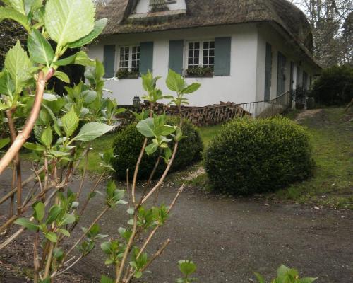 a white house with a thatched roof at Le clos des mûriers in Hautot-sur-Mer