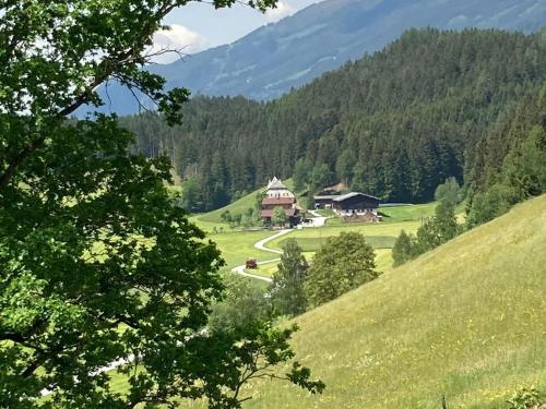 a house on a hill in a green field at Chalet in Mittersill near Ski Lift in Mittersill