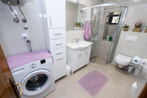 un bagno con lavatrice accanto a servizi igienici di Apartment Marko a Kotor (Cattaro)