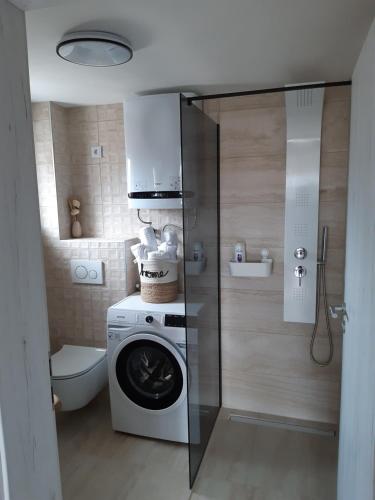 baño pequeño con lavadora y lavadora en Apartment Ena, en Stara Novalja