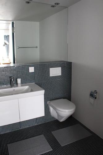 bagno con servizi igienici e lavandino di Hotel Jäger a Murten
