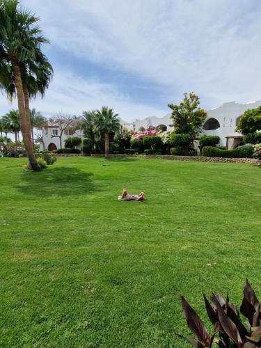 a person laying on the grass in a field at Domina Coral Bey Harem in Sharm El Sheikh