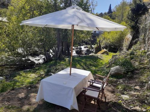 a table and a chair under an umbrella at Quinta dos Carvalhos The Wine House Farm in Center of Lamego - Capital of the Douro in Lamego