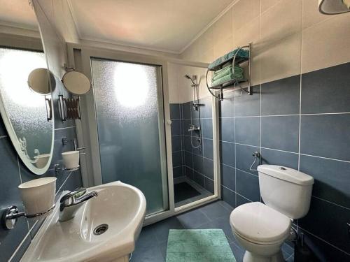 ein Bad mit einem WC, einem Waschbecken und einer Dusche in der Unterkunft Monteview Duplex in Herceg-Novi