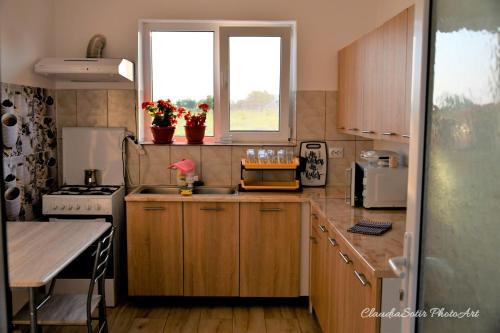 a kitchen with wooden cabinets and a sink and a window at Pensiunea La Codru in Jurilovca
