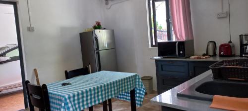 Kuchyň nebo kuchyňský kout v ubytování SeaView Studio - La Gaulette