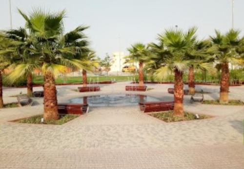 a courtyard with palm trees and a fountain at Fabulous Luxury Room in Abu Dhabi