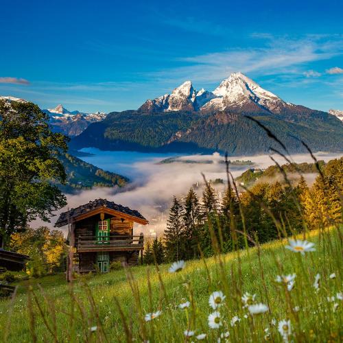 a cabin on a hill with a field of flowers at Alpenresidenz Buchenhöhe in Berchtesgaden