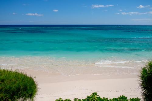 uma vista para o oceano e uma praia de areia em Palm Hill House home em Rock Sound