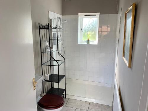 a bathroom with a shower with a toilet and a shelf at The Little Coach House in Wales in Newtown