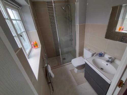 La salle de bains est pourvue d'un lavabo, d'une douche et de toilettes. dans l'établissement Edelweiss House, à Great Barr