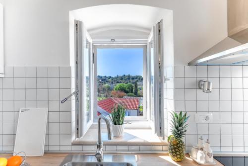 a kitchen with a sink and a window with a view at Villa Škrika in Škrip