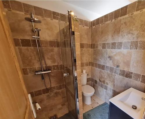a bathroom with a shower with a toilet and a sink at Adorable Maison Indépendante 30m2 avec Piscine en saison in Cabris