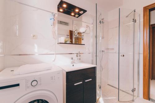 ein Bad mit einer Waschmaschine und einer Dusche in der Unterkunft Apartments Maris Senj 2 in Vrataruša
