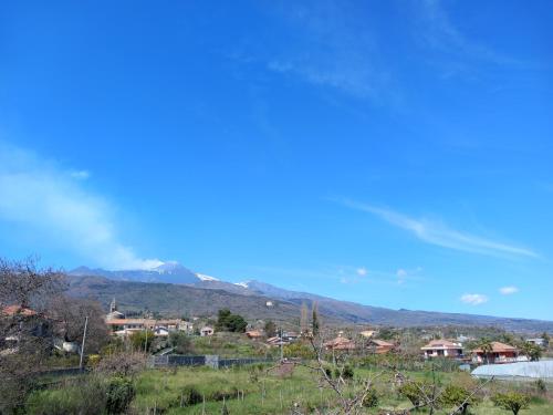 Etna Green House – Photos 3