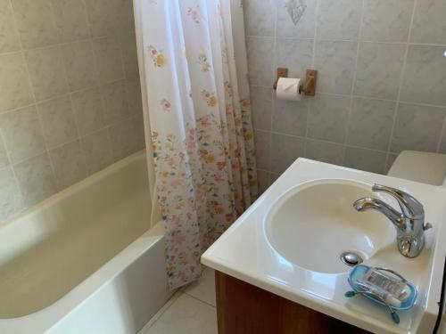蒙特哥貝的住宿－Poinciana House，一间带水槽和淋浴帘的浴室