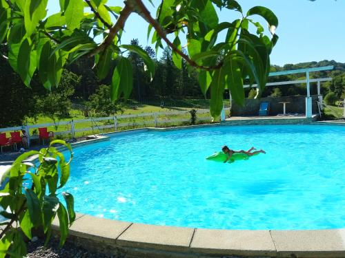 a person swimming in a large blue swimming pool at Roulotte toute équipée in Orthez