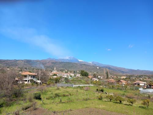 Etna Green House – Photos 2