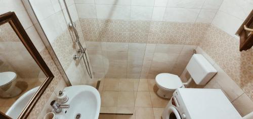 a bathroom with a toilet and a sink and a shower at Apartmaji Pajer in Koper