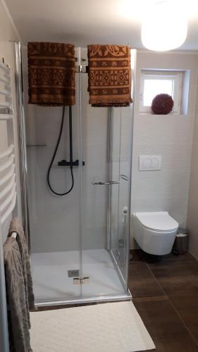 a shower stall in a bathroom with a toilet at Chambre d'hôtes Les Hortensias in Gelos