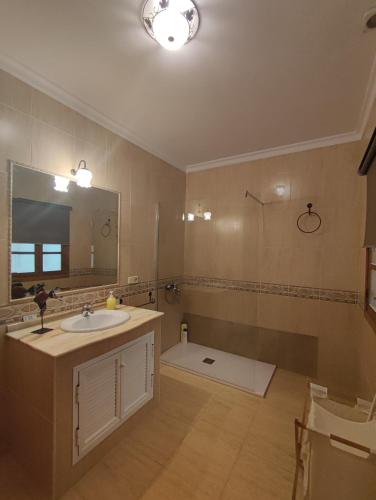 a bathroom with a sink and a mirror and a shower at CASA RURAL FERRETE in Cañete la Real