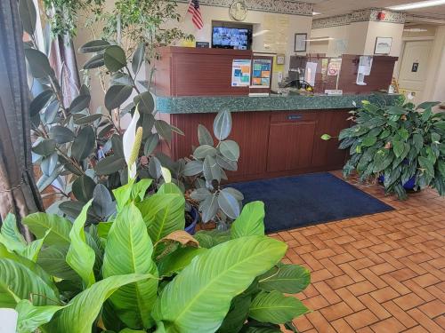 a waiting area with plants in a hospital lobby at Studio 9 Inn & Suites in Decatur