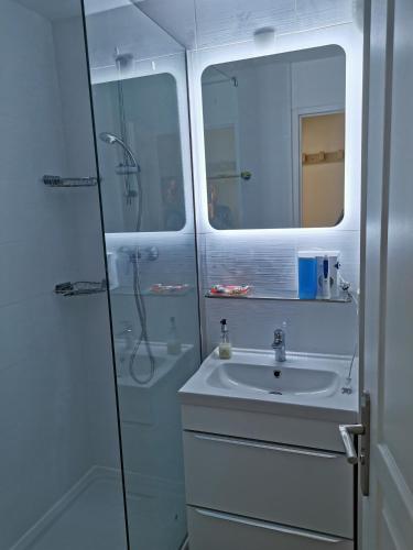 une salle de bain avec un lavabo et une douche avec un miroir dans l'établissement Appartement rénové, piscine à débordement, vue mer, à Cannes