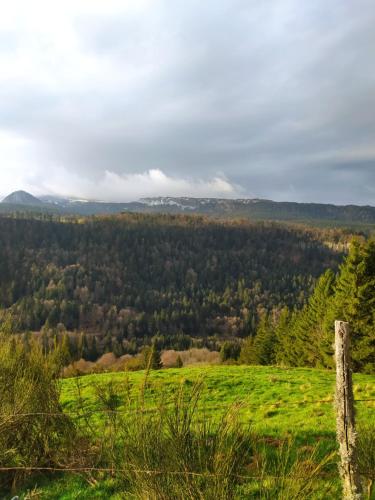 - une vue depuis le sommet d'une colline avec un champ vert dans l'établissement Résidence du Panthéon, à Le Mont-Dore