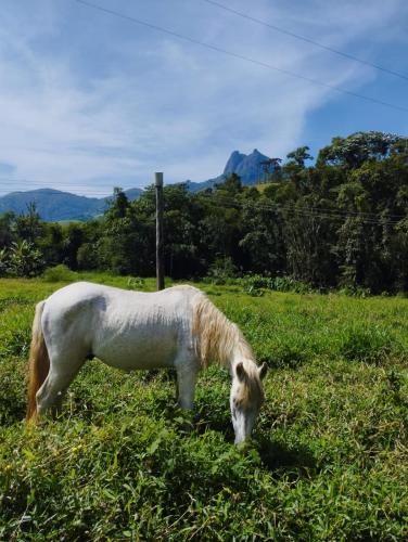 Encanto da Pedra – Photos 3
