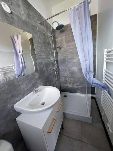 uma casa de banho branca com um lavatório e um chuveiro em Studio 4 personnes em Montagne