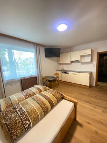 オプシュタイクにあるHaus Bergfriede, Apartment Christianのリビングルーム(ベッド1台付)、キッチンが備わります。