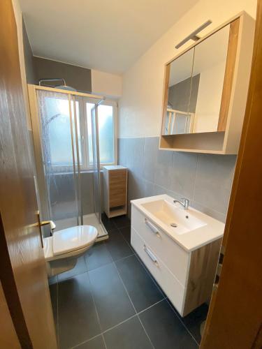 a bathroom with a sink and a toilet and a mirror at Haus Bergfriede, Apartment Christian in Obsteig