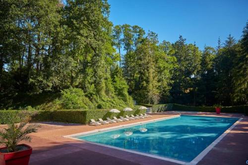 einen Pool mit Liegestühlen und Bäumen in der Unterkunft Bungalow climatisé dans un bel écrin de nature in Saint-Chéron
