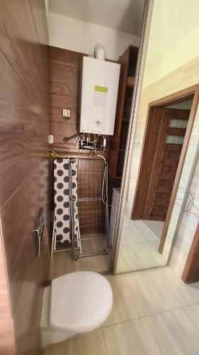 DomasławにあるDom pod Wroclawiem13の部屋の中にトイレ付きの小さなバスルーム