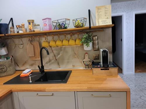 a kitchen with a sink and a counter top at Apartament Lipova in Piechowice