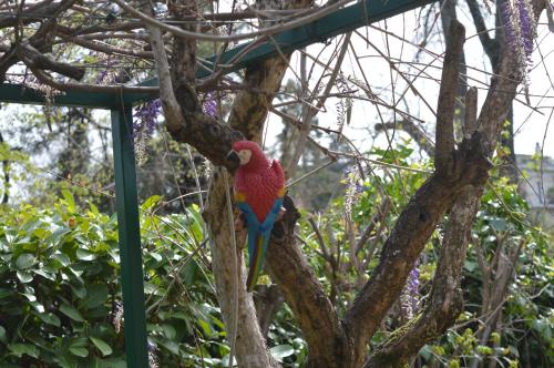Il Giardino Nel Parco R&B photo 53