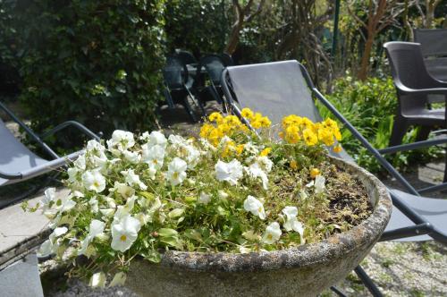 Il Giardino Nel Parco R&B photo 56