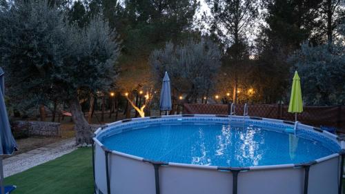 a swimming pool in a yard with umbrellas at Trulli Magnolia in Putignano
