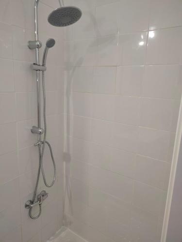 a shower with a shower head in a bathroom at Estudio Alicia in Rota