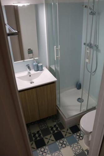 une salle de bain avec un lavabo, une douche et des toilettes dans l'établissement Location studio équipé à 200m de la plage., à Saint-Malo