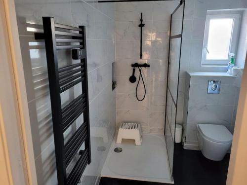 e bagno con doccia, servizi igienici e lavandino. di Mésange a Colmar