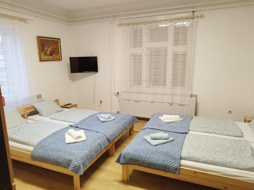 a bedroom with two beds and a flat screen tv at Tartós Szegfű Vendégház, Magánszállás in Tázlár